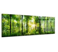 DECLINA - Tableau Mural forêt verte - Tableau Feuilles D’Automne Esprit Cocooning - Photo Murale Sur Verre Acrylique - Fabriqué En France