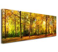 DECLINA Tableau Panoramique imprimé Foret en Automne - Impression Photo Paysage sur Toile décoration Murale - Déco Maison, Cuisine, Salon, Chambre Adulte - 100x35 cm