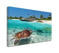 DECLINA Tableau Tortue Marine - Impression Photo Paysage sur Toile décoration Murale - Déco Maison, Cuisine, Salon, Chambre Adulte - 100x60 cm