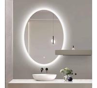 Decmiroor Miroir LED 75x100cm Ovale Miroir de Salle de Bain avec Lumière de 3 Couleurs Réglable Dimmable Anti-buée Intelligent Miroir de Maquillage(Frosted Edge,36"x28")