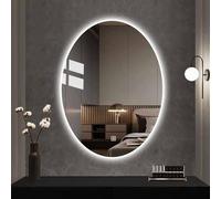 Decmiroor Miroir LED 75x100cm Ovale Miroir de Salle de Bain avec Lumière de 3 Couleurs Réglable Dimmable Anti-buée Intelligent Miroir de Maquillage(Back Light,40"x30")