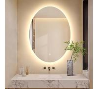 Decmiroor Miroir Salle de Bain avec Éclairage LED, Miroir Lumineux Tricolore pour Maquillage, Miroir Désembuage, Miroir Mural Rétro-éclairé, Ovale Miroir Décoratif(50x70cm/20 x28)