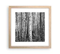 Deco Affiches Murales 30x30cm Affiche Decoration Murale Bouleaux Forest Monochrome Cuisine Wall Art Design Moderne Poster Cadre Chêne Clair Tableau Decoration Salon Chambre Decor P2NAC30x30-4643