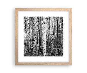 Deco Affiches Murales 30x30cm Affiche Decoration Murale Bouleaux Forest Monochrome Cuisine Wall Art Design Moderne Poster Cadre Chêne Clair Tableau Decoration Salon Chambre Decor P2NAC30x30-4643