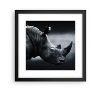 Deco Affiches Murales 30x30cm Affiche Decoration Murale Rhinocéros Noir Et Blanc Portrait Cuisine Wall Art Design Moderne Poster Cadre Noir Tableau Decoration Salon Chambre Decor P2BAC30x30-4347