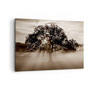 Deco Cadre Décoration Salon arbre champ nature Moderne Impression sur Toile 120x80cm Image Tableau Decoration Murale Chambre Cuisine Horizontal Art Wall Grand Tableaux Decoratifs Muraux AA120x80-3811