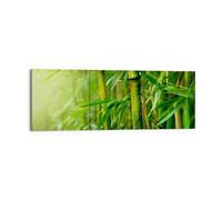 Deco Cadre Décoration Salon bambou plante Moderne Impression sur Toile 150x50cm Image Tableau Decoration Murale Chambre Triptyque 3 parties Art Wall Grand Tableaux Decoratifs Muraux CA150x50-3558