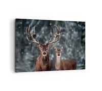 Deco Cadre Décoration Salon Cerf renne chevreuil Moderne Impression sur Toile 120x80cm Image Tableau Decoration Murale Chambre Horizontal Art Wall Grand Tableaux Decoratifs Muraux AA120x80-5060