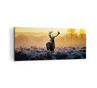 Deco Cadre Décoration Salon Champ brouillard nature arbre Moderne Impression sur Toile 120x50cm Image Tableau Decoration Murale Chambre Panoramique Art Wall Tableaux Decoratifs Muraux AB120x50-2428
