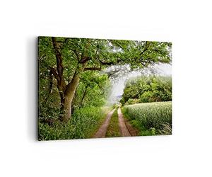 Deco Cadre Décoration Salon Chemin nature forêt vert Moderne Impression sur Toile 120x80cm Image Tableau Decoration Murale Chambre Horizontal Art Wall Grand Tableaux Decoratifs Muraux AA120x80-2637