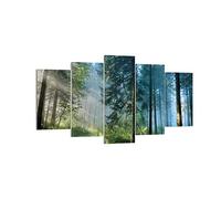 Deco Cadre Décoration Salon Forêt Aube Le Soleil Moderne Impression sur Toile 160x85cm Image Tableau Decoration Murale Chambre Triptyque 5 parties Art Wall Tableaux Decoratifs Muraux EA160x85-4398