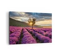 Deco Cadre Décoration Salon lavande montagnes champ Moderne Impression sur Toile 120x80cm Image Tableau Decoration Murale Chambre Horizontal Art Wall Grand Tableaux Decoratifs Muraux AA120x80-3645