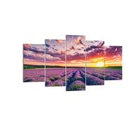 Deco Cadre Décoration Salon lavande montagnes champ Moderne Impression sur Toile 160x85cm Image Tableau Decoration Murale Chambre Triptyque 5 parties Art Wall Tableaux Decoratifs Muraux EA160x85-3816