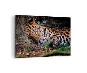 Deco Cadre Décoration Salon Léopard Portrait Jaguar Moderne Impression sur Toile 120x80cm Image Tableau Decoration Murale Chambre Horizontal Art Wall Grand Tableaux Decoratifs Muraux AA120x80-4493