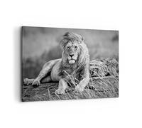 Deco Cadre Décoration Salon lion animal nature Moderne Impression sur Toile 120x80cm Image Tableau Decoration Murale Chambre Cuisine Horizontal Art Wall Grand Tableaux Decoratifs Muraux AA120x80-3931