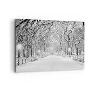 Deco Cadre Décoration Salon Neige Hiver Parc Moderne Impression sur Toile 120x80cm Image Tableau Decoration Murale Chambre Cuisine Horizontal Art Wall Grand Tableaux Decoratifs Muraux AA120x80-5215