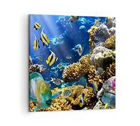 Deco Cadre Décoration Salon Récif corallien océan crabe poisson Moderne Impression sur Toile 50x50cm Image Tableau Decoration Murale Chambre Carré Art Wall Tableaux Decoratifs Muraux AC50x50-2662