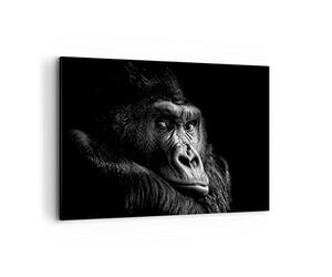 Deco Cadre Décoration Salon Singe Gorille Portrait Moderne Impression sur Toile 120x80cm Image Tableau Decoration Murale Chambre Horizontal Art Wall Grand Tableaux Decoratifs Muraux AA120x80-5007