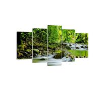 Deco Cadre Décoration Salon Stream Forêt Nature Moderne Impression sur Toile 160x85cm Image Tableau Decoration Murale Chambre Triptyque 5 parties Art Wall Tableaux Decoratifs Muraux EA160x85-0174