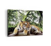 Deco Cadre Décoration Salon Tigre Jungle Repos Moderne Impression sur Toile 120x80cm Image Tableau Decoration Murale Chambre Cuisine Horizontal Art Wall Grand Tableaux Decoratifs Muraux AA120x80-4166