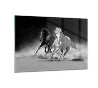 Deco Cadre Salon Andalouse Chevaux Galop Moderne Impression sur Verre 120x80cm Image Tableau en Verre Decoration Murale Chambre Horizontal Art Grand XXL Tableaux Decoratifs Muraux GAA120x80-4240