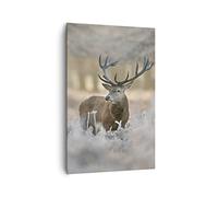 Deco Cadre Salon cerf forêt nature Moderne Impression sur Toile 80x120cm Image Tableau Decoration Murale Chambre Cuisine Vertical Art Wall Decor Design Grand Tableaux Decoratifs Muraux PA80x120-3744