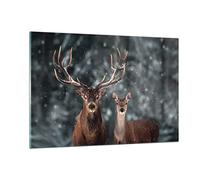 Deco Cadre Salon Cerf renne chevreuil Moderne Impression sur Verre 120x80cm Image Tableau en Verre Decoration Murale Chambre Cuisine Horizontal Art Grand XXL Tableaux Decoratifs Muraux GAA120x80-5060
