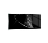 Deco Cadre Salon Cheval Animal Artistique Moderne Impression sur Verre 120x50cm Image Tableau en Verre Decoration Murale Chambre Cuisine Panoramique Art Grand Tableaux Decoratifs Muraux GAB120x50-5492