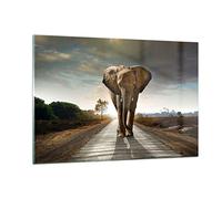 Deco Cadre Salon Elephant Route Campagne Moderne Impression sur Verre 120x80cm Image Tableau en Verre Decoration Murale Chambre Horizontal Art Grand XXL Tableaux Decoratifs Muraux GAA120x80-0214