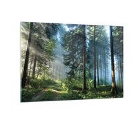 Deco Cadre Salon Forêt Aube Le Soleil Moderne Impression sur Verre 120x80cm Image Tableau en Verre Decoration Murale Chambre Cuisine Horizontal Art Grand XXL Tableaux Decoratifs Muraux GAA120x80-4398