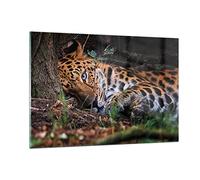 Deco Cadre Salon Léopard Portrait Jaguar Moderne Impression sur Verre 120x80cm Image Tableau en Verre Decoration Murale Chambre Horizontal Art Grand XXL Tableaux Decoratifs Muraux GAA120x80-4493