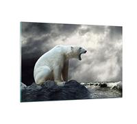 Deco Cadre Salon Ours animaux eau glace Moderne Impression sur Verre 120x80cm Image Tableau en Verre Decoration Murale Chambre Horizontal Art Grand XXL Tableaux Decoratifs Muraux GAA120x80-2451
