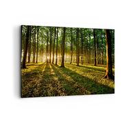 Deco Décoration Salon Forêt vert rayons du soleil nature Moderne Impression sur Toile 120x80cm Image Tableau Decoration Murale Chambre Horizontal Art Wall Tableaux Decoratifs Muraux AA120x80-2510