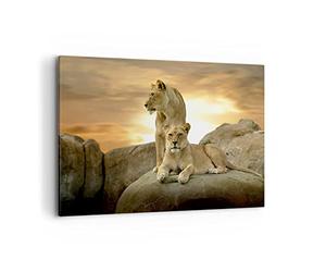 Deco Décoration Salon Lions Coucher de soleil Roches griffes Moderne Impression sur Toile 120x80cm Image Tableau Decoration Murale Chambre Horizontal Art Wall Tableaux Decoratifs Muraux AA120x80-2958