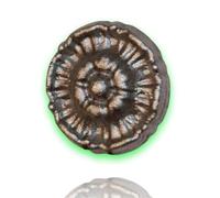 Déco fer Forgé-ROSACE ACIER DECORATION- H 55 par 55 mm- Pour Porte Portail Portillon battant coulissant -A Souder Epaisseur 12 mm Forme Ronde - Usage Interieur Exterieur Satisfaction Garantie Robuste