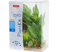 Déco Plantkit Zolux idro n°2 (x6) Blanc TU