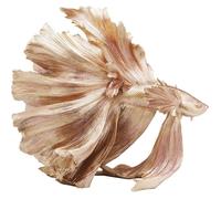 Déco poisson combattant 63cm doré Kare Design