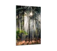 Deco Salon Foresta Natura Sole Moderne Impression sur Verre 80x120cm Image Tableau en Verre Decoration Murale Chambre Cuisine Vertical Art Wall Decor Grand Tableaux Decoratifs Muraux GPA80x120-6064