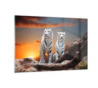Deco Salon Tigres blanc roche coucher de soleil Moderne Impression sur Verre 120x80cm Image Tableau en Verre Decoration Murale Chambre Horizontal Art Grand XXL Tableaux Decoratifs GAA120x80-2901