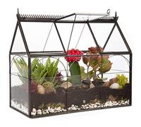 Deco Serre géométrique en Verre pour Terrarium, Plantes succulentes et Plantes aériennes - Serre (25 x 12 x 21 cm)