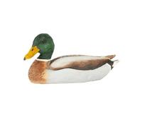 Decobird canard colvert mâle