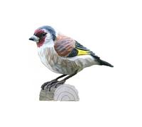 décobird chardonneret