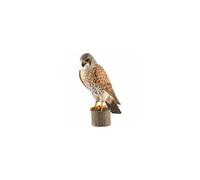 decobird faucon crécerelle
