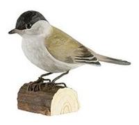 WILDLIFE GARDEN Oiseau décoratif en Bois 7,5 x 3,6 x 11,2 cm