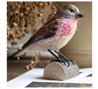 décobird linotte mélodieuse G