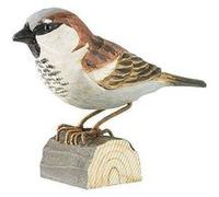 WILDLIFEGARDEN - Decobird Moineau Domestique