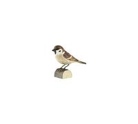 décobird moineau friquet