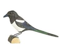 WILDLIFE GARDEN - Decobird Pie bavarde