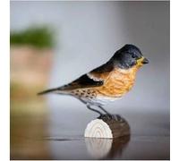 décobird pinson du nord