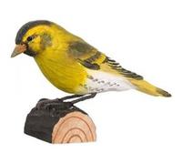 WILDLIFE GARDEN Erlenzeisig